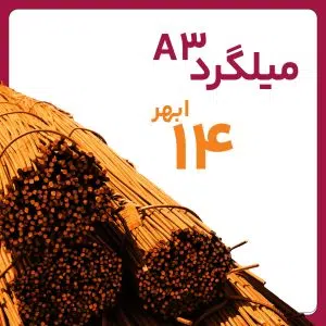 میلگرد آجدار ابهر 14 A3 شاخه 12 متری کارخانه