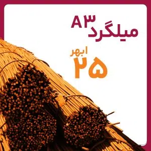 میلگرد آجدار ابهر 25 A3 شاخه 12 متری کارخانه