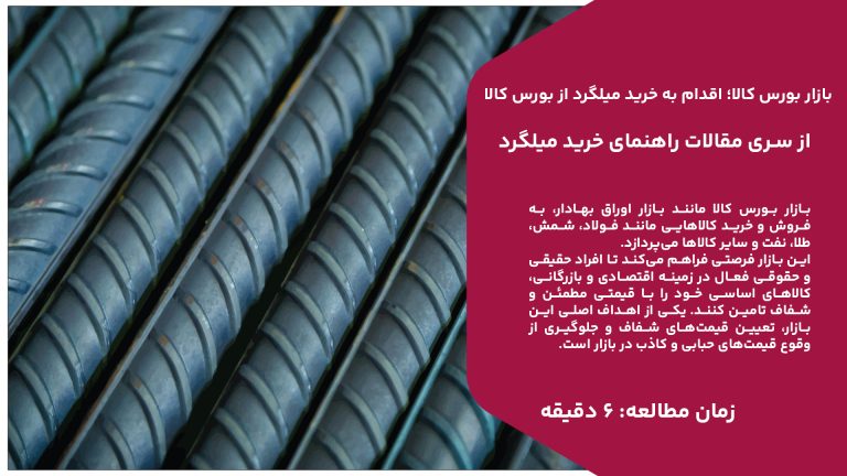 بازار بورس کالا مانند بازار اوراق بهادار، به فروش و خرید کالاهایی مانند فولاد، شمش، طلا، نفت و سایر کالاها می‌پردازد. این بازار فرصتی فراهم می‌کند تا افراد حقیقی و حقوقی فعال در زمینه اقتصادی و بازرگانی، کالاهای اساسی خود را با قیمتی مطمئن و شفاف تامین کنند. یکی از اهداف اصلی این بازار، تعیین قیمت‌های شفاف و جلوگیری از وقوع قیمت‌های حبابی و کاذب در بازار است