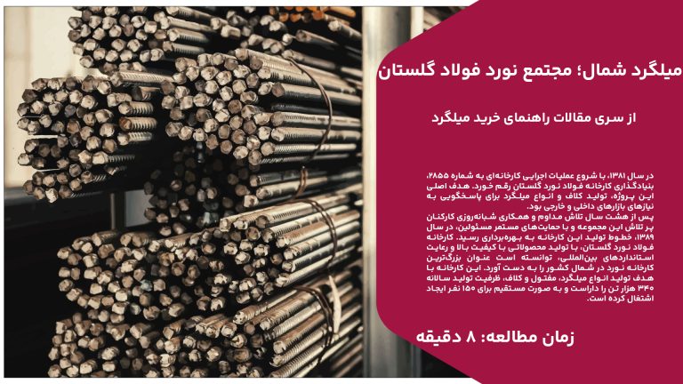 در سال 1381، با شروع عملیات اجرایی کارخانه‌ای به شماره 2855، بنیادگذاری کارخانه فولاد نورد گلستان رقم خورد. هدف اصلی این پروژه، تولید کلاف و انواع میلگرد برای پاسخگویی به نیازهای بازارهای داخلی و خارجی بود. پس از هشت سال تلاش مداوم و همکاری شبانه‌روزی کارکنان پر تلاش این مجموعه و با حمایت‌های مستمر مسئولین، در سال 1389، خطوط تولید این کارخانه به بهره‌برداری رسید. کارخانه فولاد نورد گلستان، با تولید محصولاتی با کیفیت بالا و رعایت استانداردهای بین‌المللی، توانسته است عنوان بزرگ‌ترین کارخانه نورد در شمال کشور را به دست آورد. این کارخانه با هدف تولید انواع میلگرد، مفتول و کلاف، ظرفیت تولید سالانه 340 هزار تن را داراست و به صورت مستقیم برای 150 نفر ایجاد اشتغال کرده است