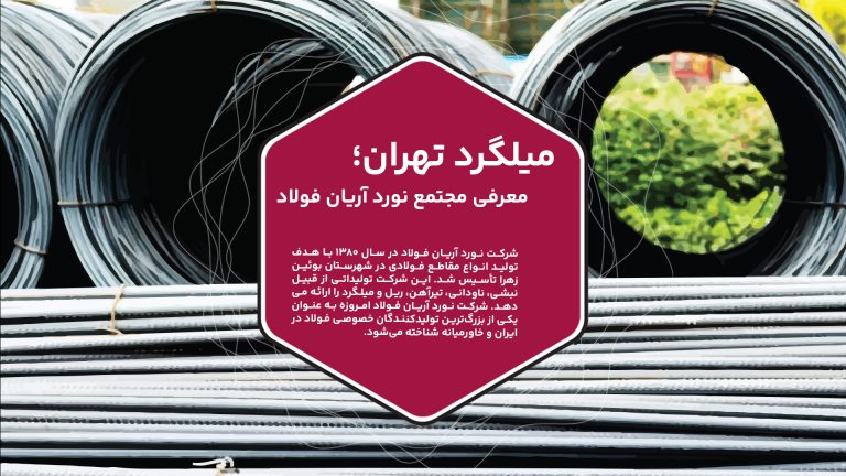 شرکت نورد آریان فولاد در سال ۱۳۸۰ با هدف تولید انواع مقاطع فولادی در شهرستان بوئین زهرا تأسیس شد. این شرکت تولیداتی از قبیل نبشی، ناودانی، تیرآهن، ریل و میلگرد را ارائه می‌دهد و امروزه به عنوان یکی از بزرگ‌ترین تولیدکنندگان خصوصی فولاد در ایران و خاورمیانه شناخته می‌شود. کارخانه نورد آریان فولاد در زمینی به مساحت ۲۲۰ هزار متر مربع در جنوب شرقی استان قزوین، کیلومتر ۱۵ جاده بوئین زهرا – اشتهارد واقع شده است. این مجموعه با بیش از ۱۰۰۰ نیروی کار در حال فعالیت است. با توجه به موقعیت جغرافیایی کارخانه که در یکی از مناطق کمتر توسعه‌یافته قرار دارد، شرکت نورد آریان فولاد نقش مهمی در ایجاد اشتغال و توسعه اقتصادی این منطقه ایفا کرده و به عنوان یکی از بزرگ‌ترین کارآفرینان منطقه شناخته می‌شود.